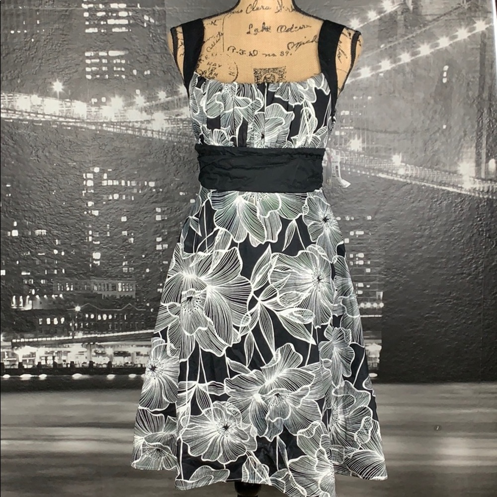 Dressbarn Dress Size 8